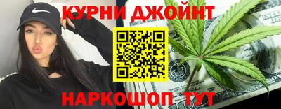 шишки Обь