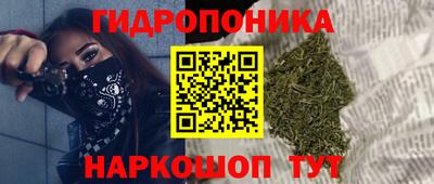 шишки Обь