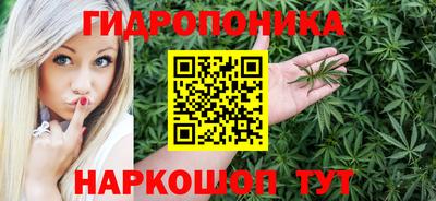 шишки Обь