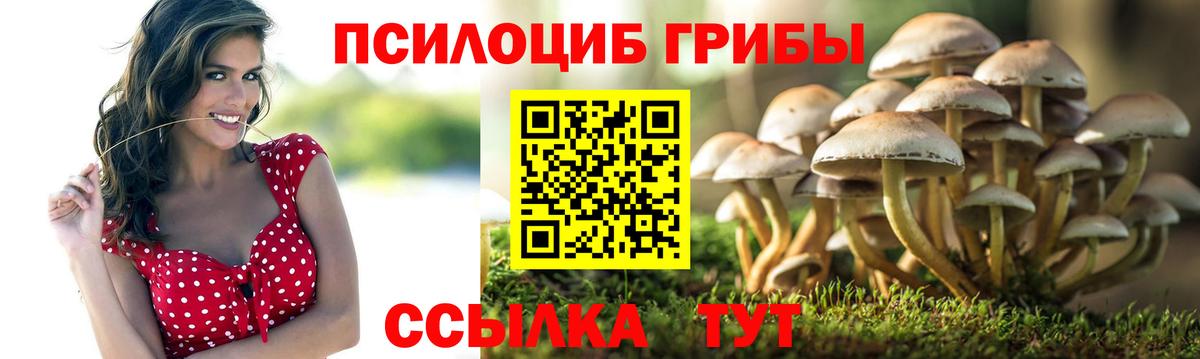 Соль-Илецк  Псилоцибиновые грибы GOLDEN TEACHER  Псилоцибиновые грибы Psilocybe  Вход с VPN 